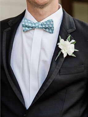 Set of Dusty Blue Swan Bow ties great for groomsmen